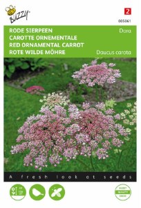 okrasná mrkva, semená okrasnej mrkvy, semená mrkvy do kytíc, 